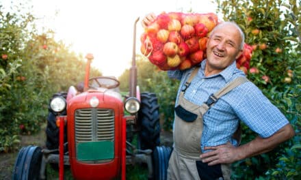 La transition agroécologique : bâtir l’agriculture et l’alimentation de demain