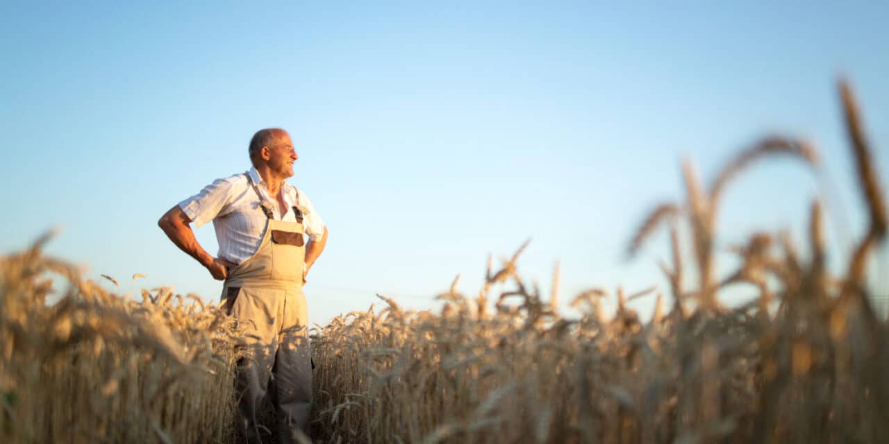 L’Engagement des Territoires pour une Agriculture Durable : Une Réponse Locale aux Défis Globaux