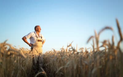 L’Engagement des Territoires pour une Agriculture Durable : Une Réponse Locale aux Défis Globaux