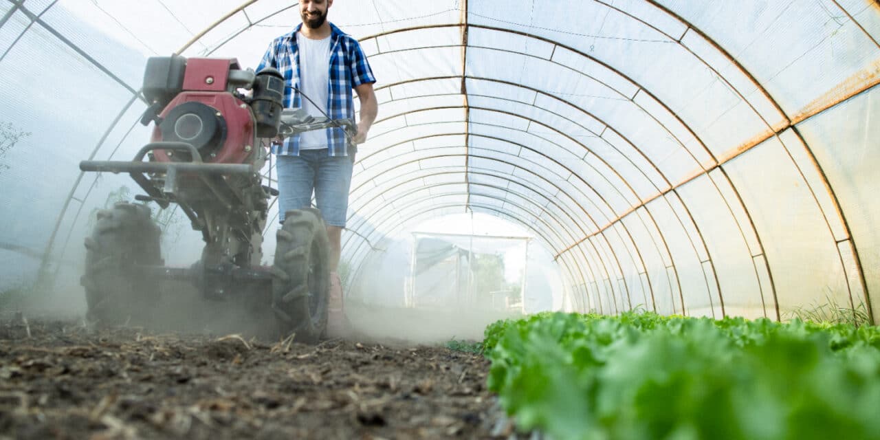 10 bonnes nouvelles pour l’écologie en France en 2025