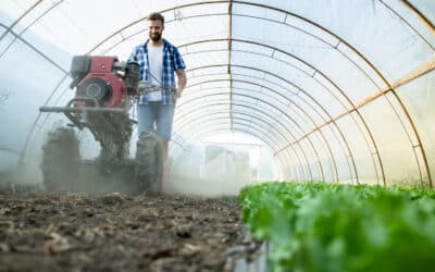 10 bonnes nouvelles pour l’écologie en France en 2025