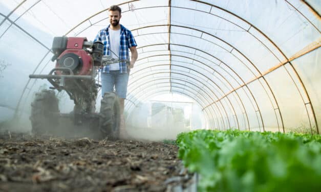 10 bonnes nouvelles pour l’écologie en France en 2025