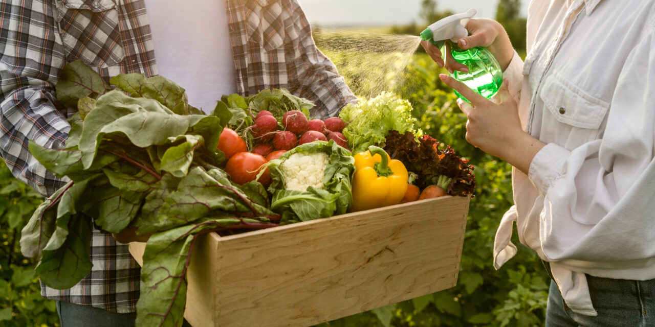 Alimentation durable : Le guide pour tout comprendre en 2025