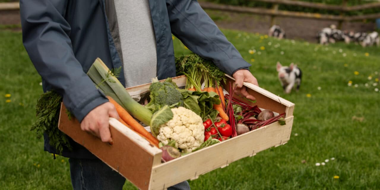 Alimentation durable : Le rôle clé du programme Territoire Engagé