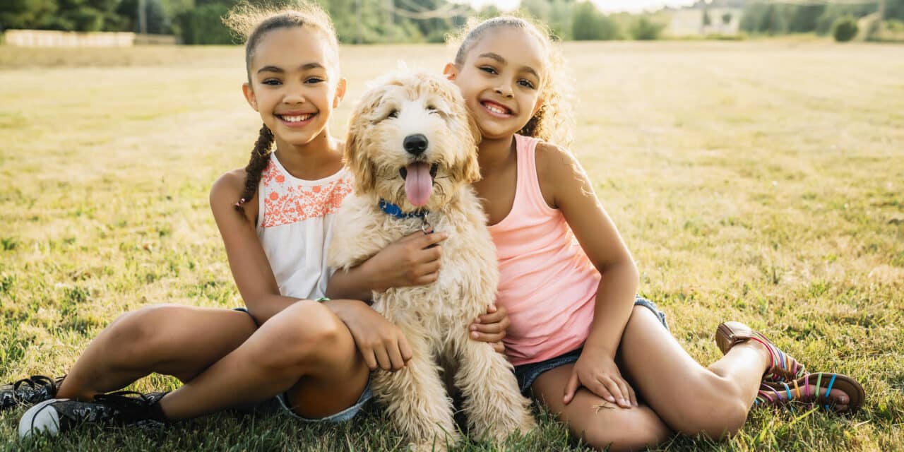 Les Initiatives « Pet-Friendly » à Rio de Janeiro : Le Bien-Être Animal au Cœur des Politiques Urbaines