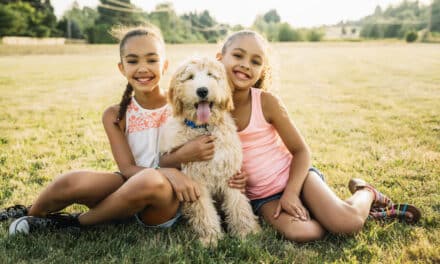 Les Initiatives « Pet-Friendly » à Rio de Janeiro : Le Bien-Être Animal au Cœur des Politiques Urbaines