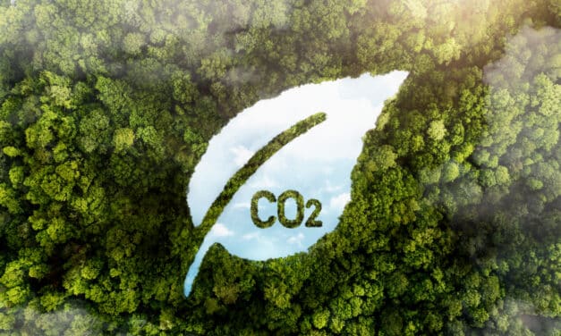 Hydrogène vert : la solution miracle ou une fausse promesse ?