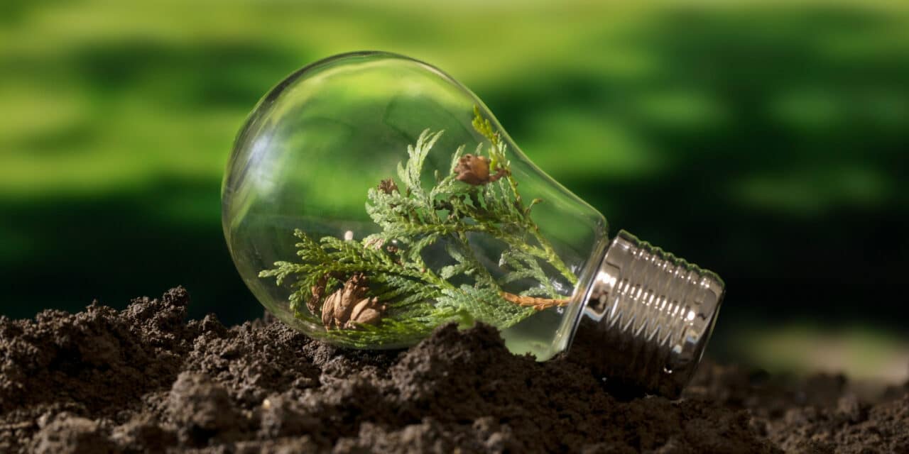 Agrivoltaïsme : quand l’énergie solaire cohabite avec l’agriculture
