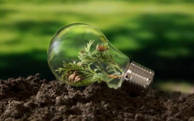 Agrivoltaïsme : quand l’énergie solaire cohabite avec l’agriculture