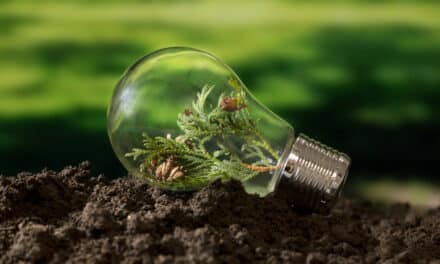 Agrivoltaïsme : quand l’énergie solaire cohabite avec l’agriculture