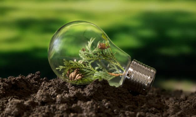 Agrivoltaïsme : quand l’énergie solaire cohabite avec l’agriculture