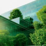 Menaces sur la biodiversité : comment les entreprises s’engagent enfin pour la nature