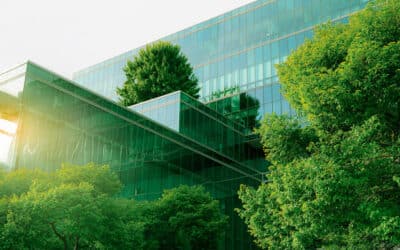 Menaces sur la biodiversité : comment les entreprises s’engagent enfin pour la nature