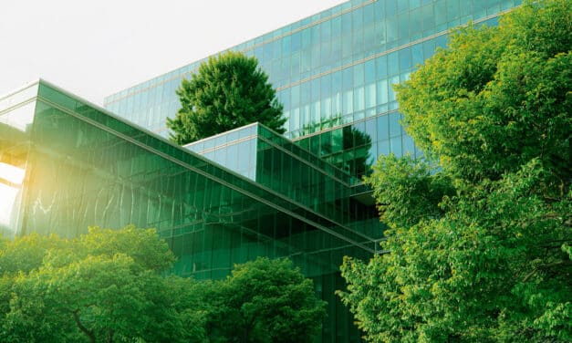 Menaces sur la biodiversité : comment les entreprises s’engagent enfin pour la nature