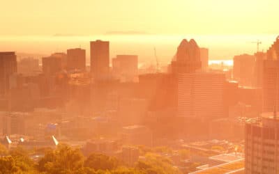 Chaleurs extrêmes : quelles solutions durables pour rafraîchir nos villes ?