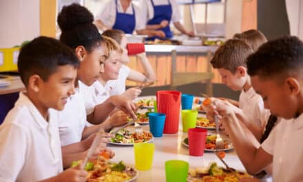Menus climato-compatibles : comment les cantines publiques réduisent leur empreinte carbone