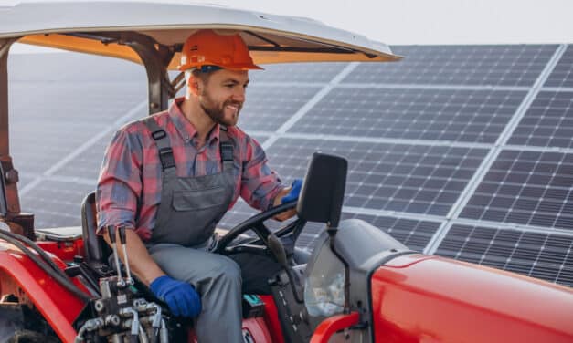 Agrivoltaïsme : quand l’énergie solaire cohabite avec l’agriculture