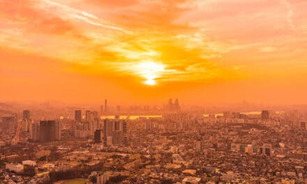 Chaleurs extrêmes : quelles solutions durables pour rafraîchir nos villes ?