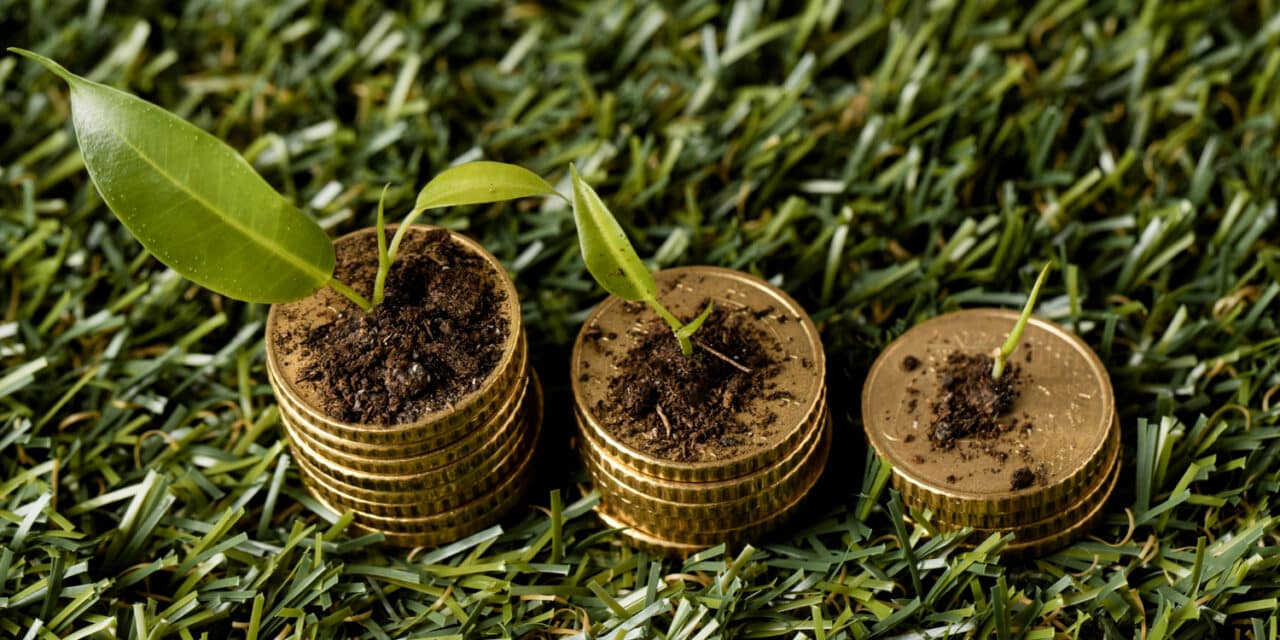 La finance verte à l’épreuve : votre épargne est-elle (vraiment) responsable ?