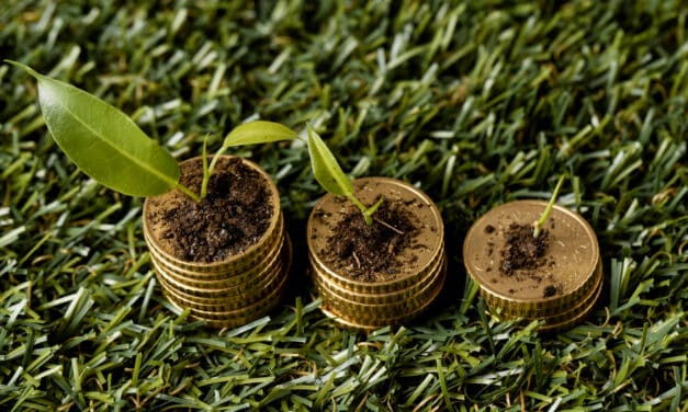 La finance verte à l’épreuve : votre épargne est-elle (vraiment) responsable ?