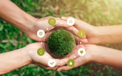 Écomobilité rurale : et si les campagnes devenaient les champions de la transition ?