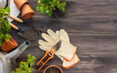 🌱 Agriculture urbaine et sociale : cultiver le lien autant que les légumes