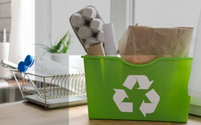 Nudges verts : quand la psychologie pousse à faire les bons choix pour la planète
