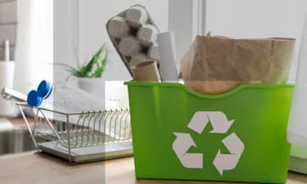 Nudges verts : quand la psychologie pousse à faire les bons choix pour la planète