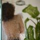 L’eau grise, une ressource oubliée : comment mieux réutiliser chez soi