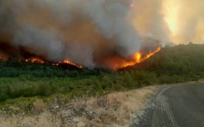 🌍 L’état de l’environnement en Europe en 2025 : bilan, défis et opportunités
