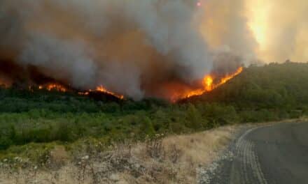 🌍 L’état de l’environnement en Europe en 2025 : bilan, défis et opportunités