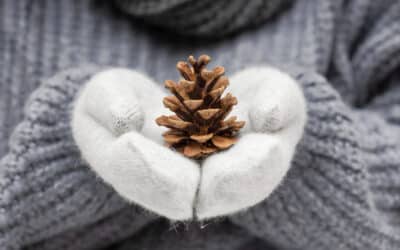 🏠 Préparer l’hiver durable : comment bien isoler son logement avant la hausse des coûts ?