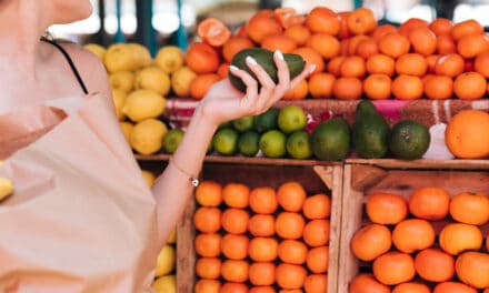 📝 Fin du plastique jetable en Europe : êtes-vous prêt pour 2026 ?