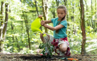🌳 COP30 à Belém : que retenir des négociations pour les citoyens en 2026 ?